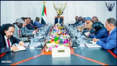 حكومة تأسيس